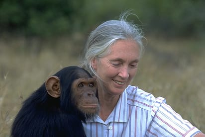 Dame Jane Goodall On Why We Can Be Hopeful | Travel By Lightfoot