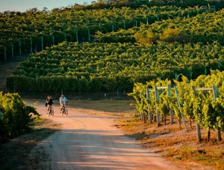 10 Aerial image of a coastal city in Uruguay