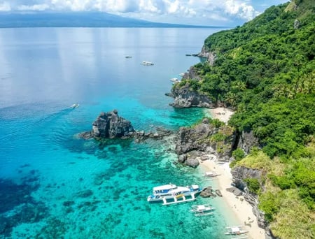 3 Sea turtle gliding over a vibrant coral reef in the Philippines
