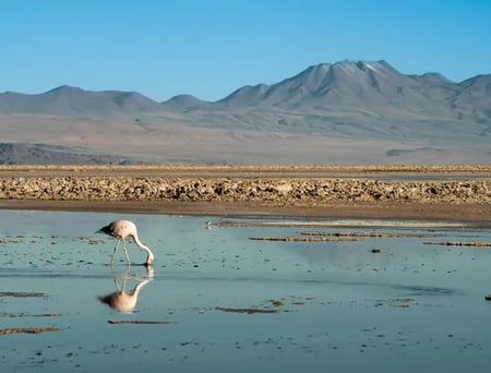 8–9 Awasi Patagonia Chile
