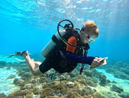 7 Bali & Komodo Luxury Yacht Voyage with Rascal