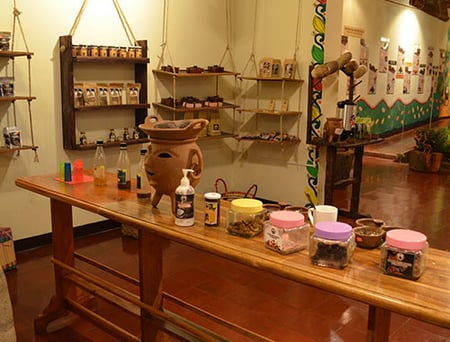 3 A beach on Nicaragua's pacific coast with jungle backdrop