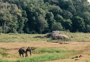 5 Kalkudah Beach House, a boutique hotel located on the East Coast of Sri Lanka