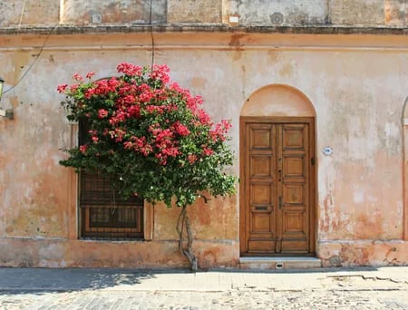 3 Aerial image of a coastal city in Uruguay