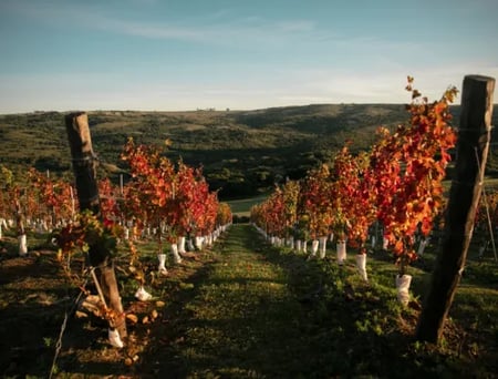 8 Aerial image of a coastal city in Uruguay