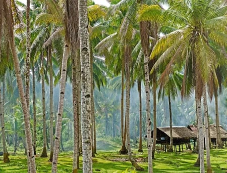 2 Siargao Island Family Adventure at Nay Palad Hideaway