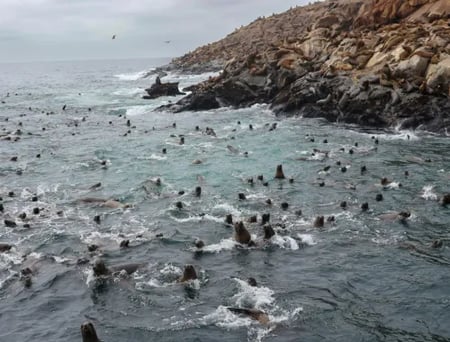 3 views over arequipa peru