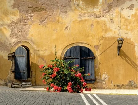 10 Hill Country tea plantations in Sri Lanka