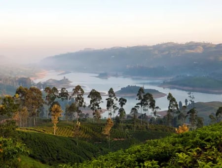 4 Hill Country tea plantations in Sri Lanka