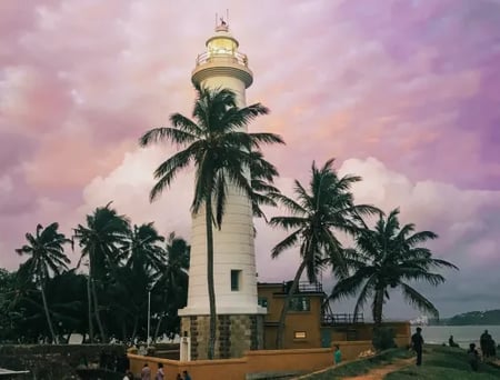 9 Hill Country tea plantations in Sri Lanka