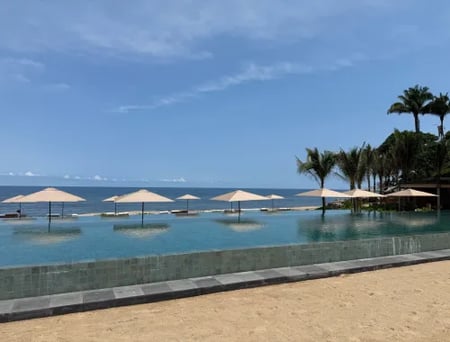12 A train driving past an agave plantation