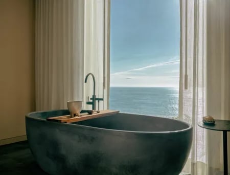 13 A train driving past an agave plantation