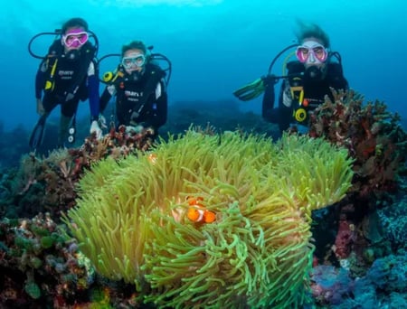 5 Sea turtle gliding over a vibrant coral reef in the Philippines