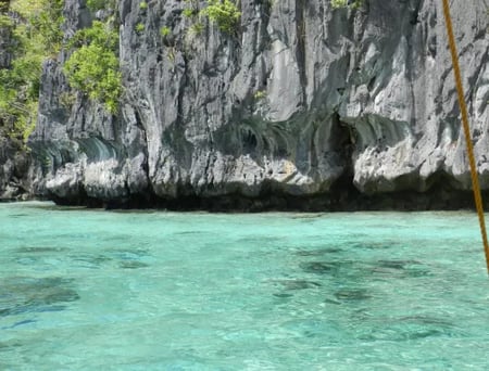 13 Sea turtle gliding over a vibrant coral reef in the Philippines