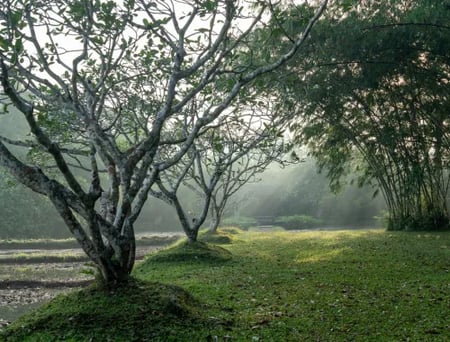 11 Aerial image of Hiriketiya Bay, Sri Lanka