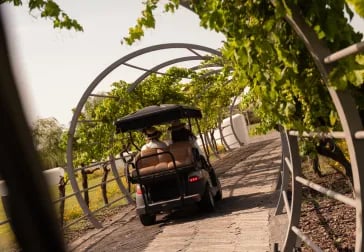 5 Landscapes in Alentejo