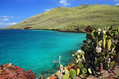 12 Southern Ecuador & the Galapagos