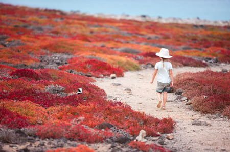 15 Southern Ecuador & the Galapagos