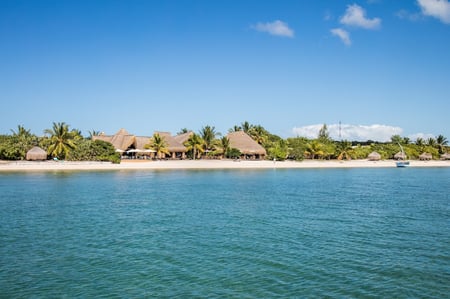 8 Mozambique women carrying basket  at Tofo beach, Mozambique