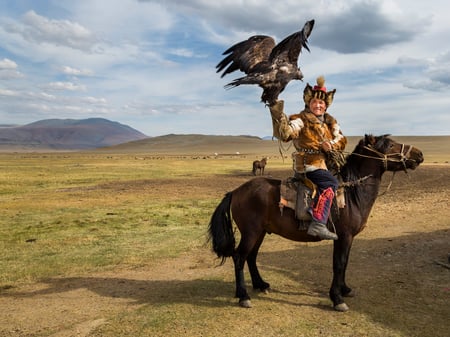 7 Kazakh Eagle Hunter in using trained golden eagles. Olgei,Western Mongolia
