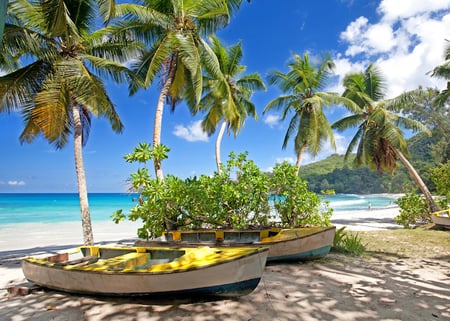 2 Seychelles famous shark beach - aerial photo