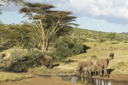 2 Turkana lake, Northern Kenya