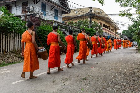 2 Novices monk in orange robe vipassana meditation at front of Buddha statues, Laos