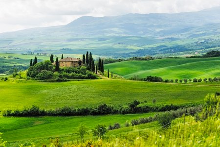 2 Italian cypress trees rows and a white road rural landscape. Siena, Tuscany, Italy, Europe.