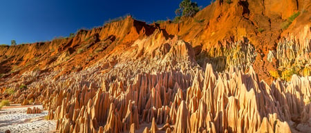 5 Beautiful Baobab trees avenue of the baobabs in Madagascar