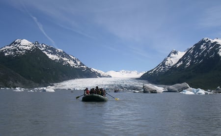 5 A Bear in Alaska laying down for a rest