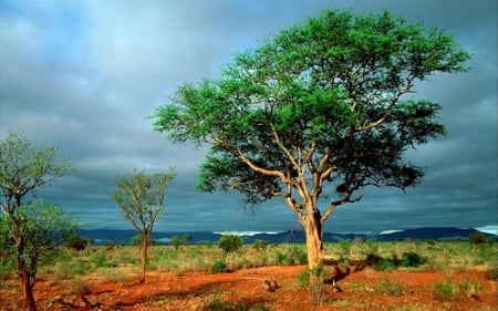 14 Grape wineland countryside landscape background of hills with mountain backdrop in Cape Town South Africa