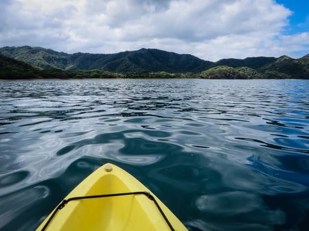 4 Corcovado National Park