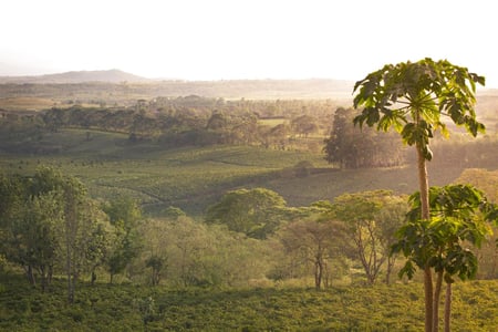 3 Adventure and wildlife exploration in Africa. Serengeti National Park.