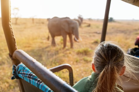 3 A game drive safari, Kenya's Maasai Mara National Park.