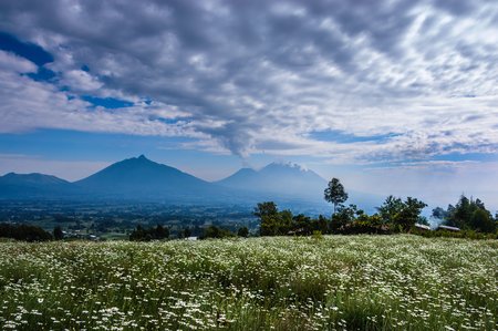 3 Volcanoes National Park, Rwanda