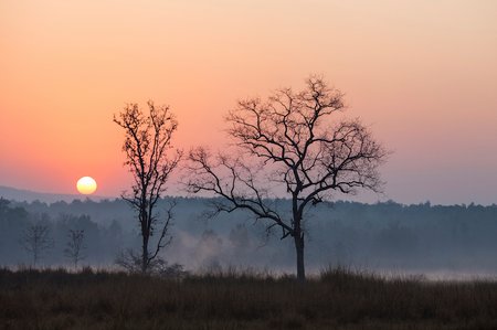 3 Sunrise at Kanha National Park