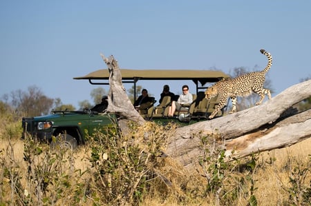 4 Okavango Delta_Overview_Elephants