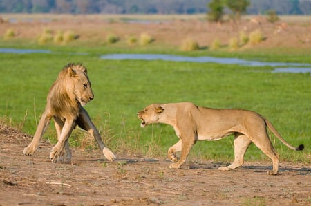 3 Victoria falls, Zimbabwe