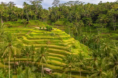 6 Balinese water temple