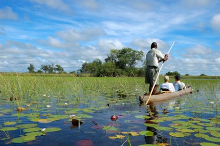 11 Aerial view of Okavango Delta, Botswana