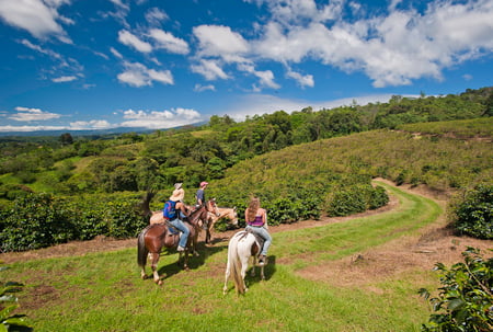 5 Corcovado National Park