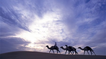 4 UAE_Dubai and the Desert