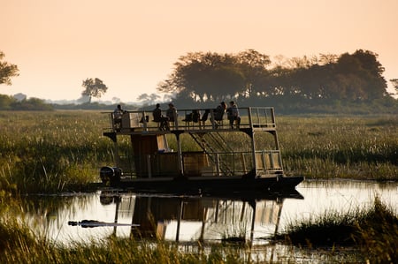 4-5 Elephants in Luangwa