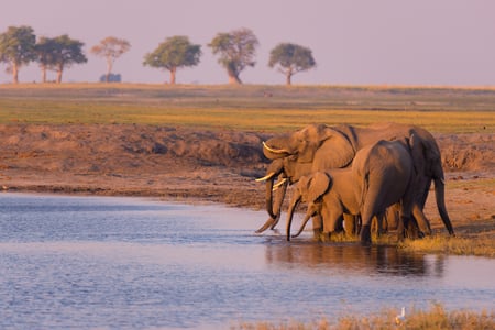 9 Aerial view of Okavango Delta, Botswana