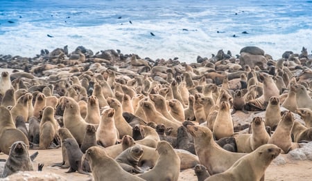 4 Skeleton Coast Namibia