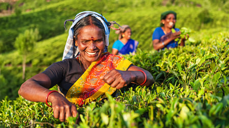 4 Sri Lanka Stlit-Fisherman