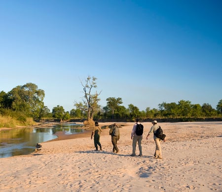 4 Lower Zambezi National Park. Zambezi River