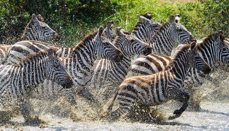 6 Maasai warrior in Africa. Tribe, Diani beach