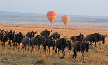 5 Turkana lake, Northern Kenya