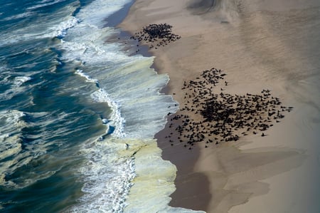 5 Skeleton Coast Namibia